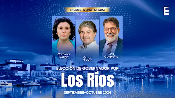 encuestas elecciones municipales 2024