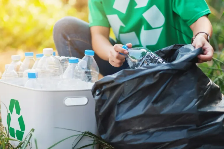 reciclaje y economia circular