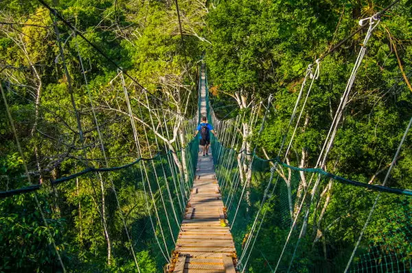 La Selva Amazónica
