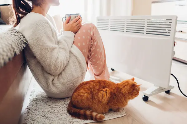 Persona sentada cerca de un calefactor con una taza caliente y un gato acostado en el suelo, protegiéndose del frío extremo.