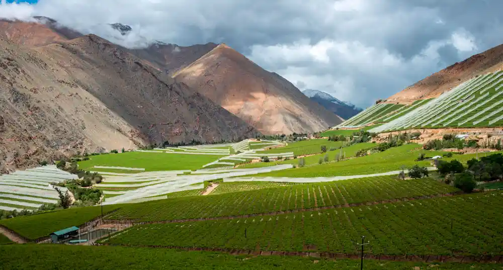 Lo bueno de visitar el Valle del Elqui en Chile