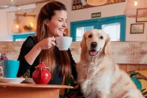 Restaurantes pet friendly ,la nueva tendencia en Santiago