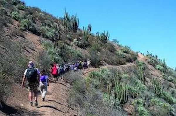 Cerro Chena