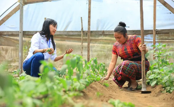 Huertos comunitarios Cómo sumarte o crear uno en tu barrio