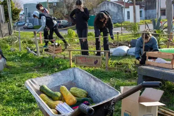 Mitos comunes sobre los huertos comunitarios