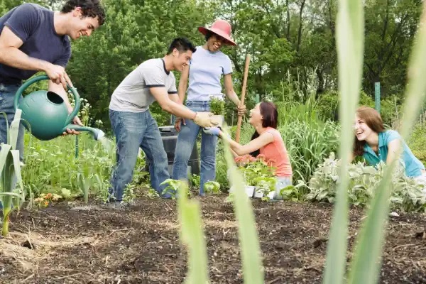 ¿Cómo crear un huerto comunitario desde cero?