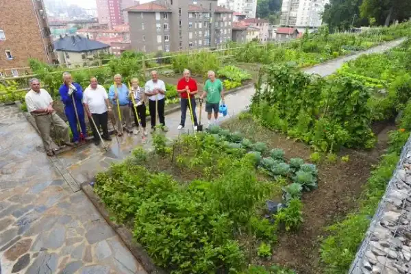 ¿Cómo sumarte a un huerto comunitario en tu comuna?