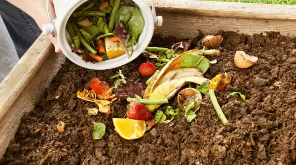 Cómo hacer compost en casa Guía paso a paso