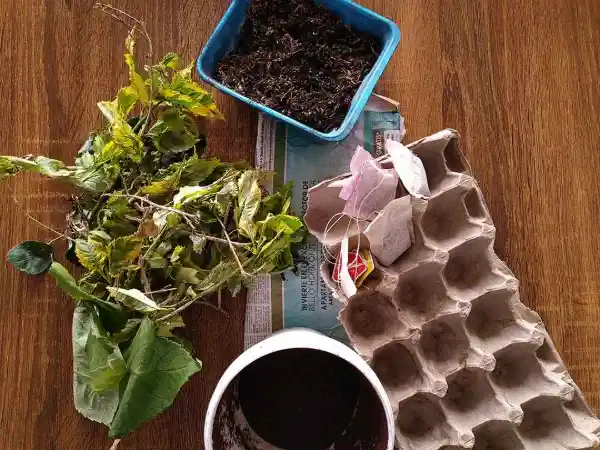 Paso 7: Usar el compost en tu jardín