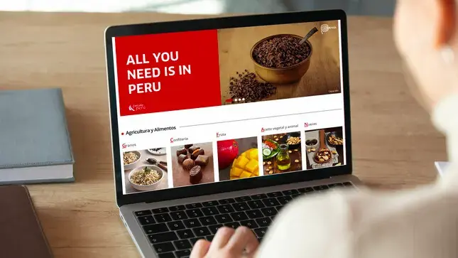 Qué necesitas para empezar con el diseño de tiendas virtuales
