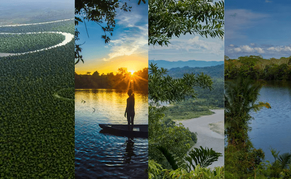 La selva como territorio de aprendizaje