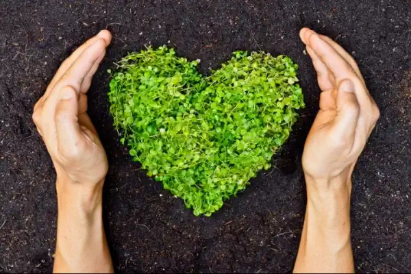 3. Sostenibilidad y respeto por el medio ambiente