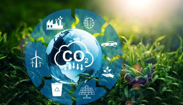 Cómo reducir la huella ecológica en tu vida diaria