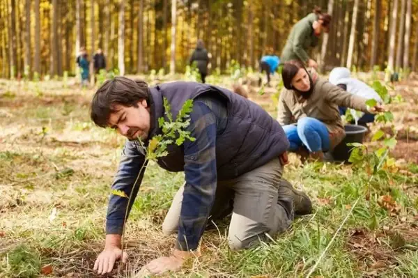 Desafíos en la implementación de la educación ambiental