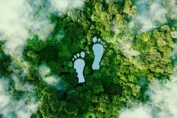 El futuro de la huella ecológica