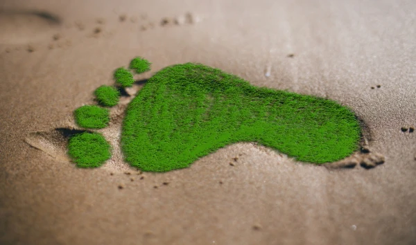 ¿Por qué es importante medir y reducir nuestra huella ecológica?