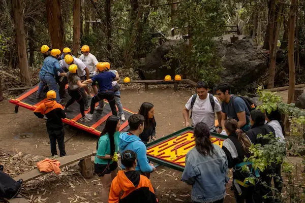talleres de team building, talleres creativos, empresas, chile 