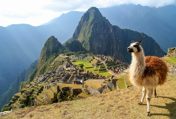 Qué es Andean Road Peru y por qué es una agencia confiable para viajeros chilenos