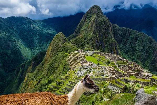 Viajar con Andean Road Peru una experiencia única e inolvidable