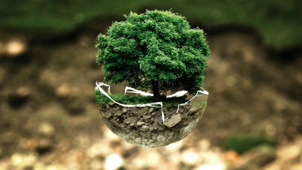 ¿Qué es la calefacción ecológica y como funciona