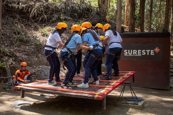 El enfoque de los talleres educativos con Sureste