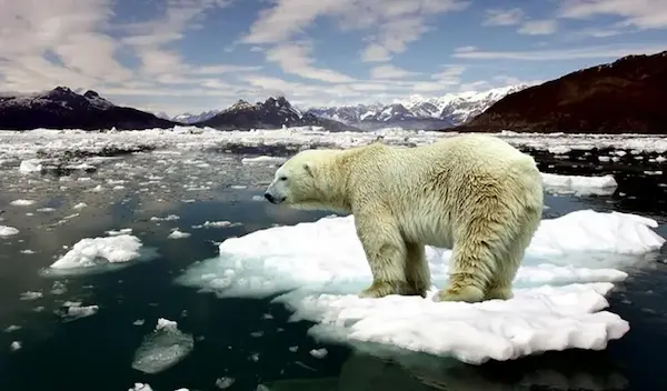 Derretimiento de glaciares