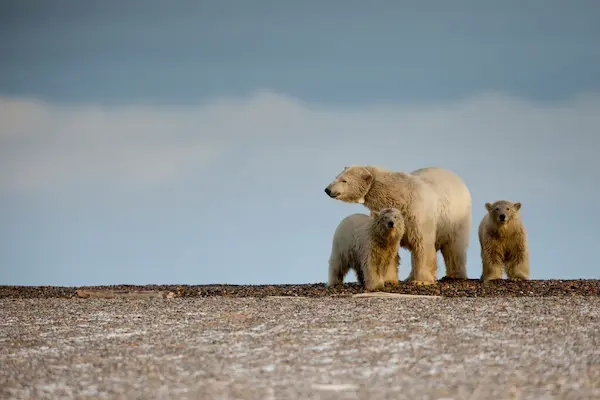¿Qué es el cambio climático?