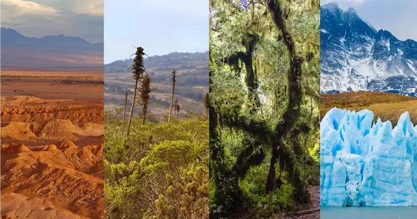 Climas y zonas climáticas de Chile: una visión general