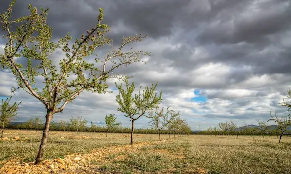 Impacto del clima en la vida diaria, la economía y el entorno natural