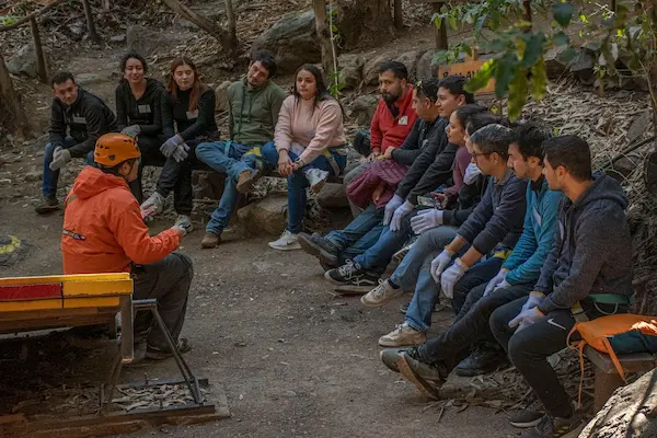 Impacto en la productividad y cultura organizacional