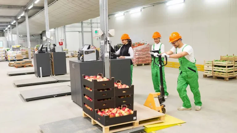 Transporte de alimentos guía práctica para garantizar calidad y seguridad en la logística