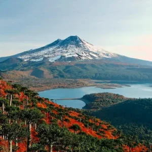 20 parques nacionales de Chile en 2026