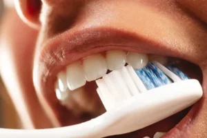 Para qué sirven los dientes tipos y funciones en tu boca