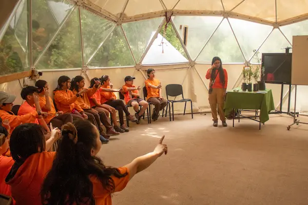 Qué son los estándares de aprendizaje