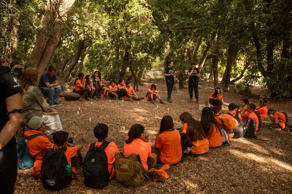 Relación entre estándares de aprendizaje y calidad educativa