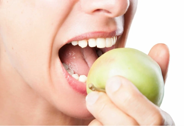 Tipos de dientes y sus funciones